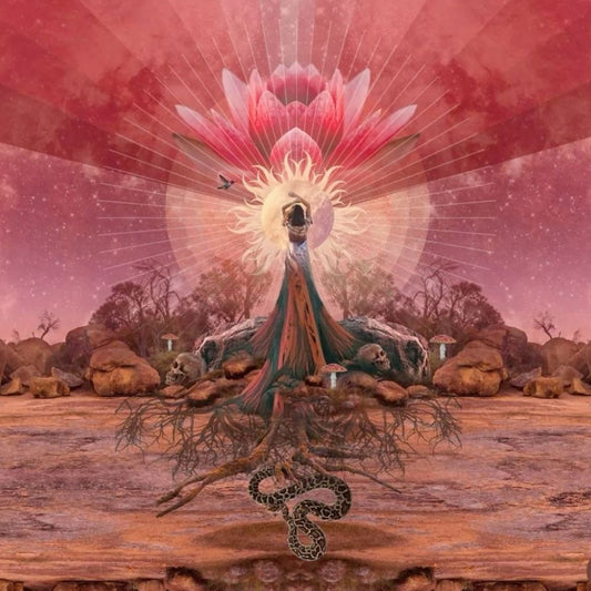 Hijama Cupping Therapy & Shamanic Healing Package